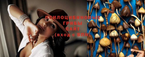 синтетический гашиш Осинники