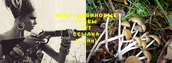 мескалин Богородицк