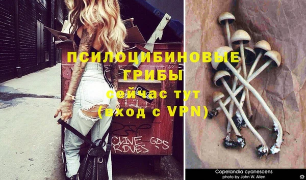 прущие крисы Белоозёрский