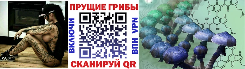 Псилоцибиновые грибы Psilocybine cubensis  купить закладку  Бирюч 