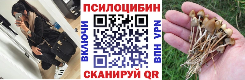 Галлюциногенные грибы Psilocybine cubensis Бирюч